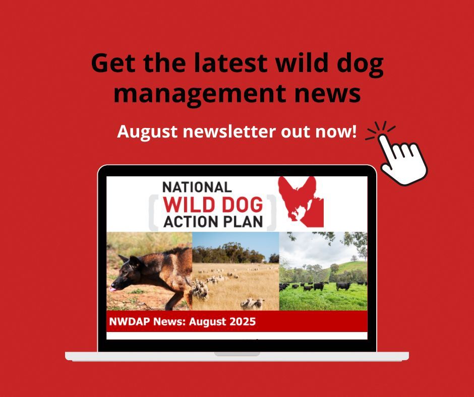 The August edition of the NWDAP newsletter is now available! 📬 

To find out the latest news on wild dog management, check it out 🐾

👉🏼 lnkd.in/gf6qd5NE