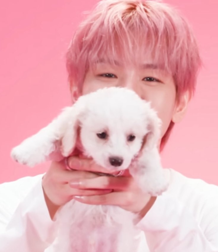 Chanbaek with pupps🐶🐶