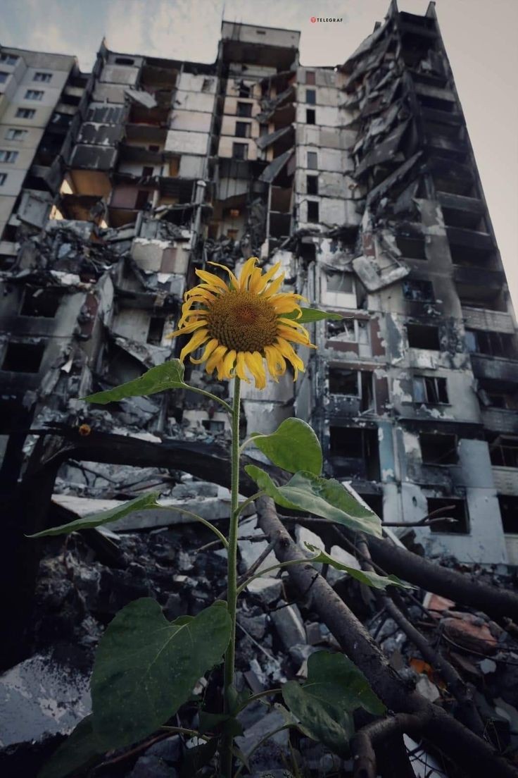 Hope Amid Ruins good morning