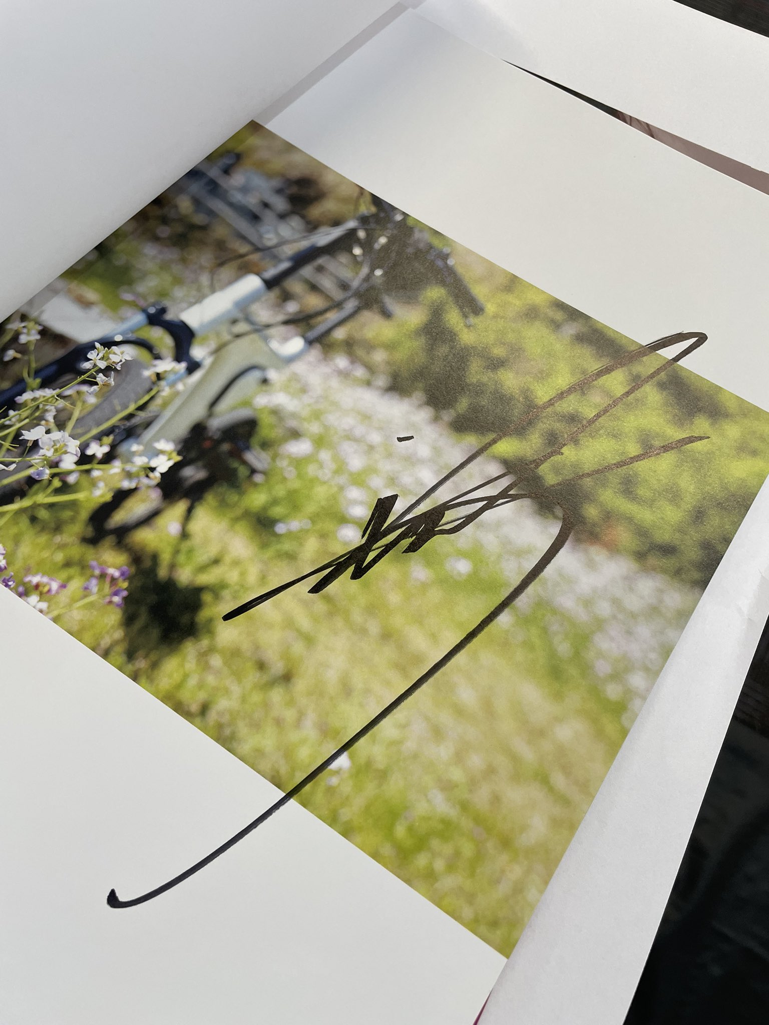 公式】TVガイドPERSON／dan／VOICE STARS／Stage Stars on X