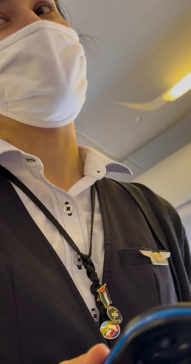 The irony of flight attendants wearing 🇵🇸 pins when 🇵🇸's only contribution to the world is literally being the reason that airport security exists.