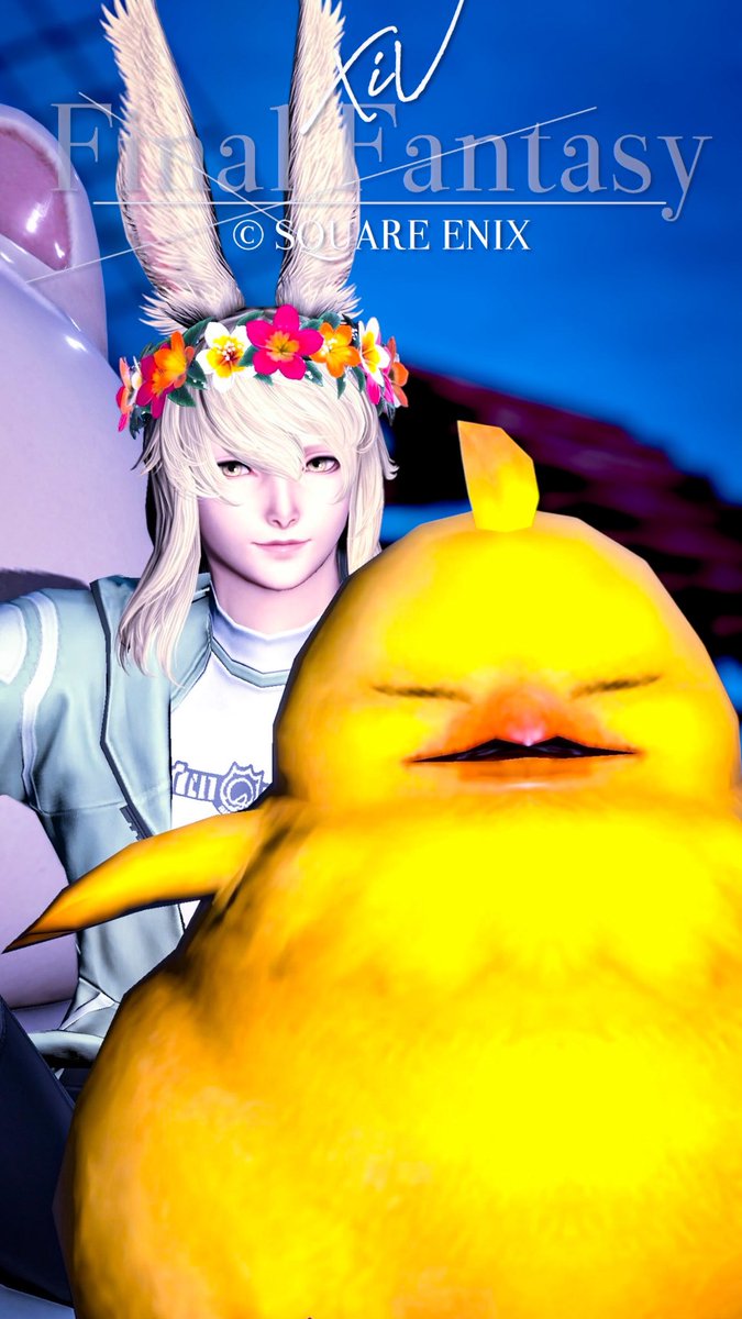 おはようございます☕️
今日は双子🐰🐥✨
簡単かもだけど
うちの🐰＆ポチャ🐥は
どっちかわかるかな？
#FF14  #ヴィエラ #おはウサ #うさお
#3顔うさお同盟