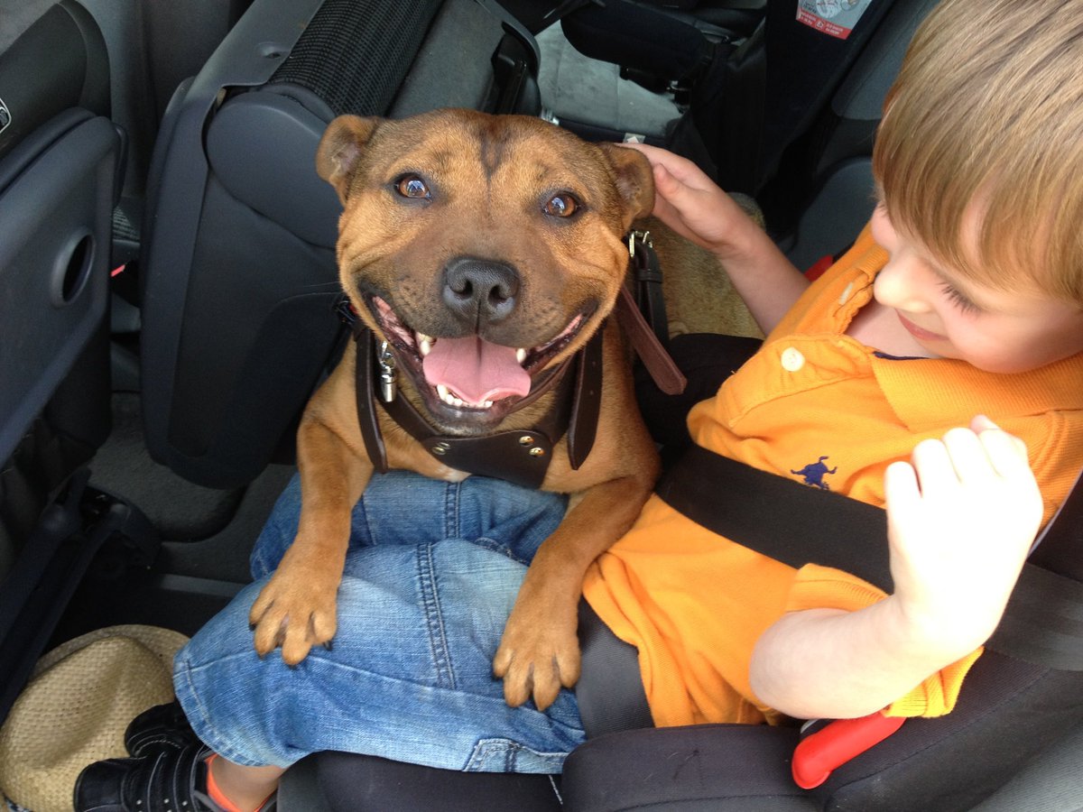 Jayne Back tweet media