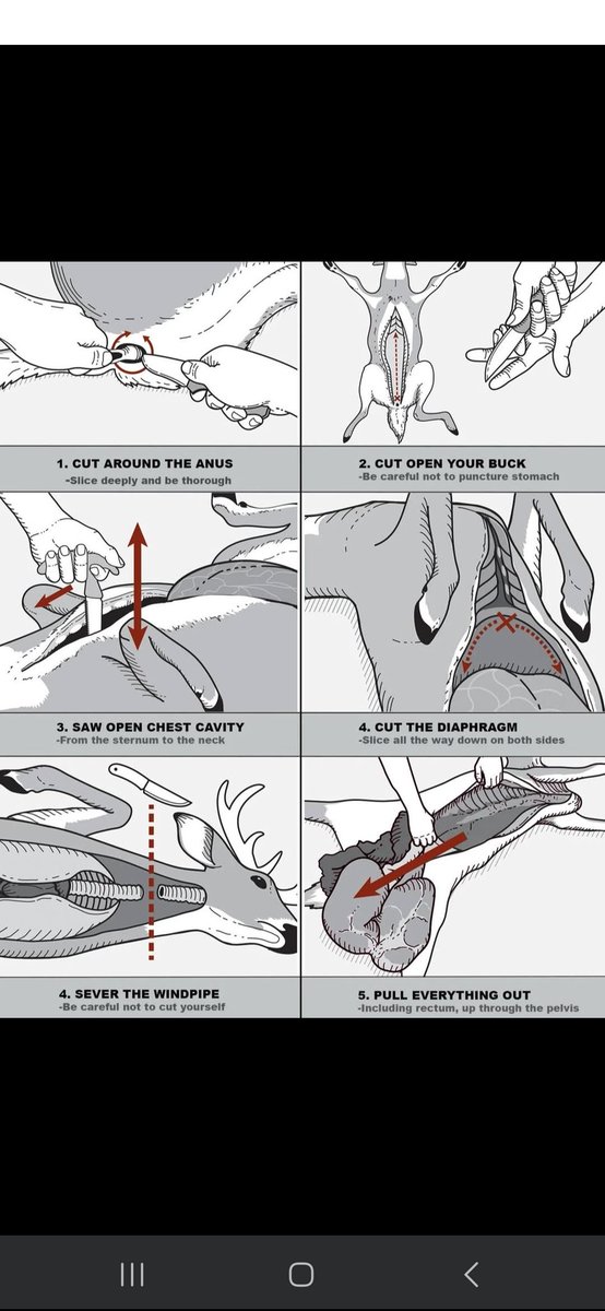 Dean 6th Gen Texian tweet media