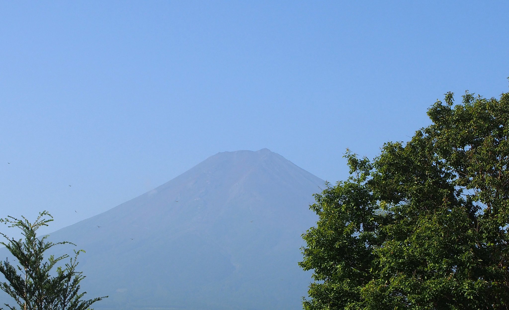 富士山35 やっこ on X: 