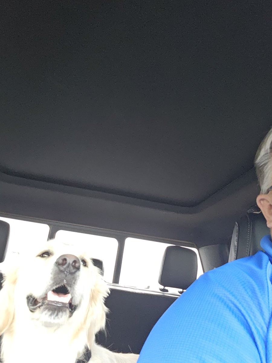 AnthonyDunkley's tweet image. Yo! #Hextall