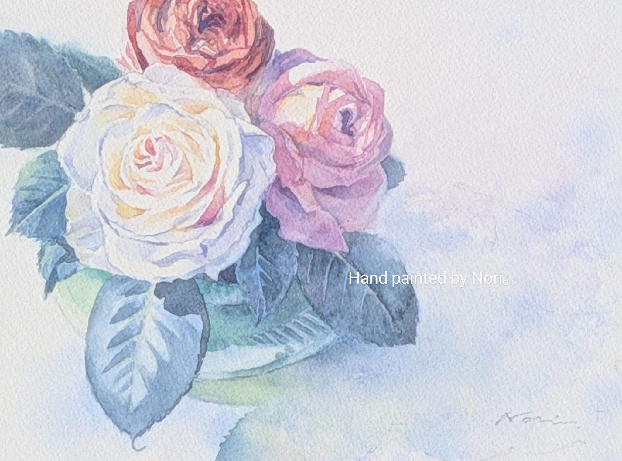 H. Urushitani 【薔薇】　水彩画　直筆サインあり mqdefault.jpg