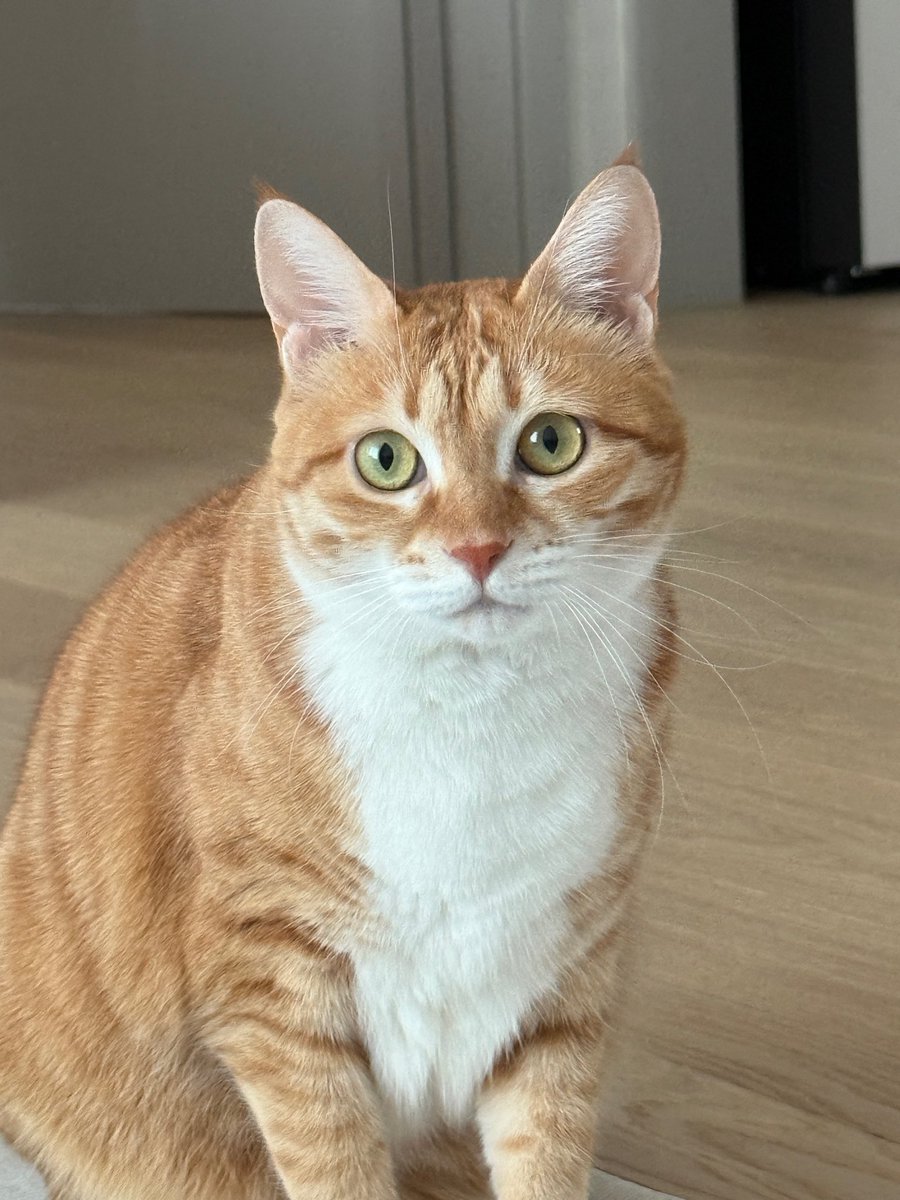 my new fave hongsi photo aaaaaack!