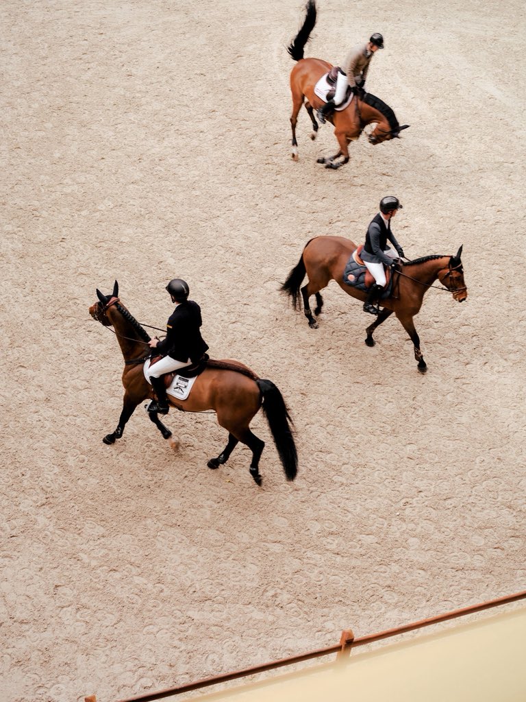 Horses🐎 tweet media
