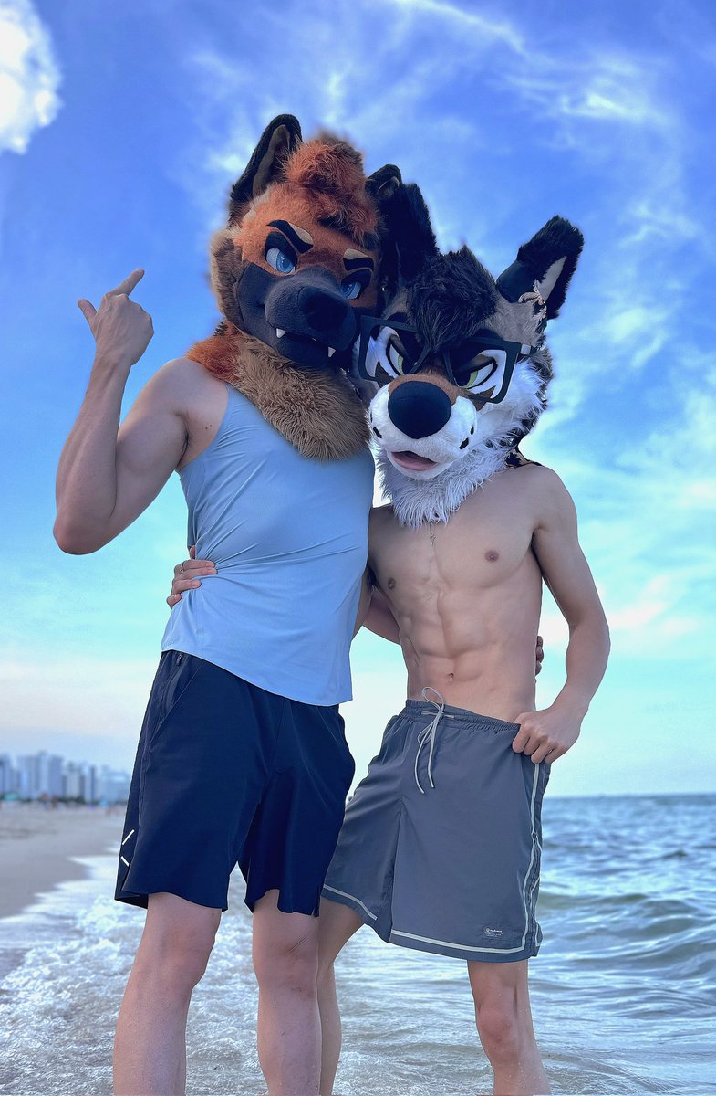 RingerShep's tweet photo. ⛱️ https://t.co/dUtqY1OWIa