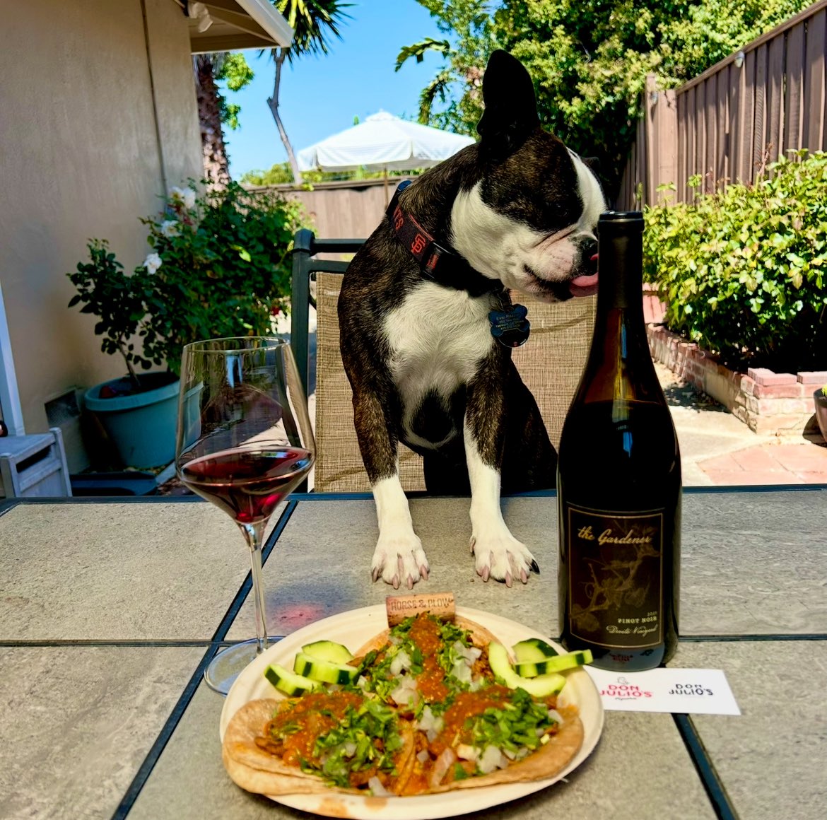 #TacoTuesday &amp; #NationalDogDay with Evie and a 2021 <a href="/HorseandPlow/">Horse&Plow</a> pinot noir from the Devoto Vineyard in the RRV.  This one displays a nose of red cherries, tan bark and cola with tastes of Santa Rosa plum, cinnamon and citrus peel. Enjoy a glass with your fur baby!