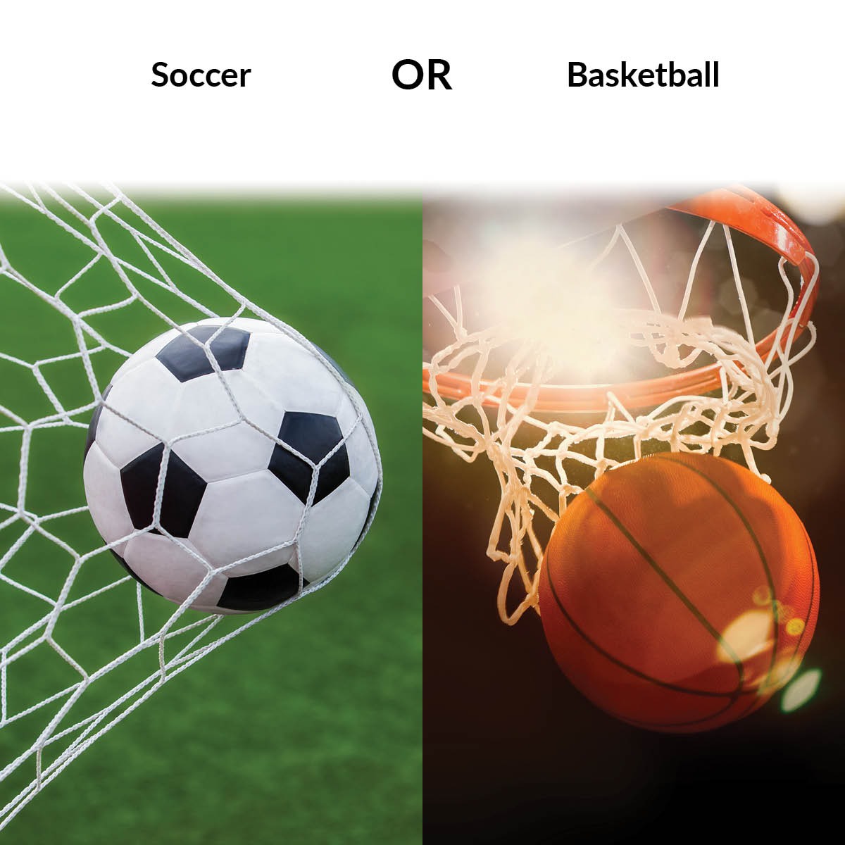 Opinion Outpost tweet media