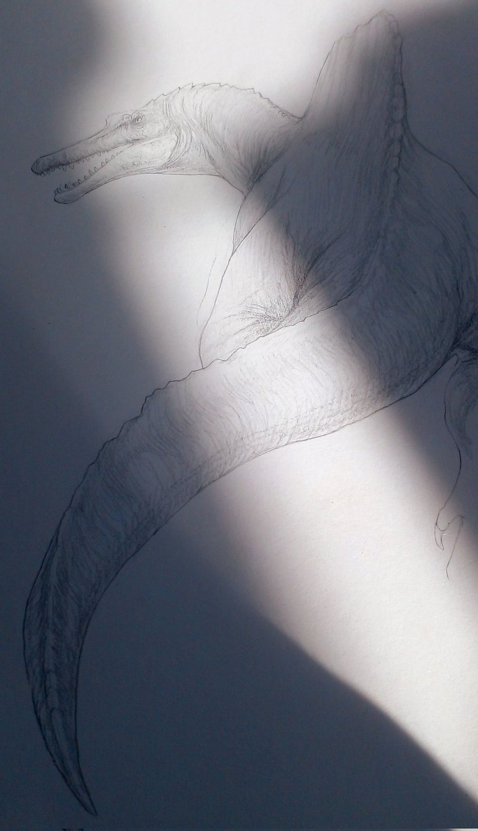 SuperDo75363417's tweet photo. WIP #paleoart #oxalaia https://t.co/c5KMotpz9c