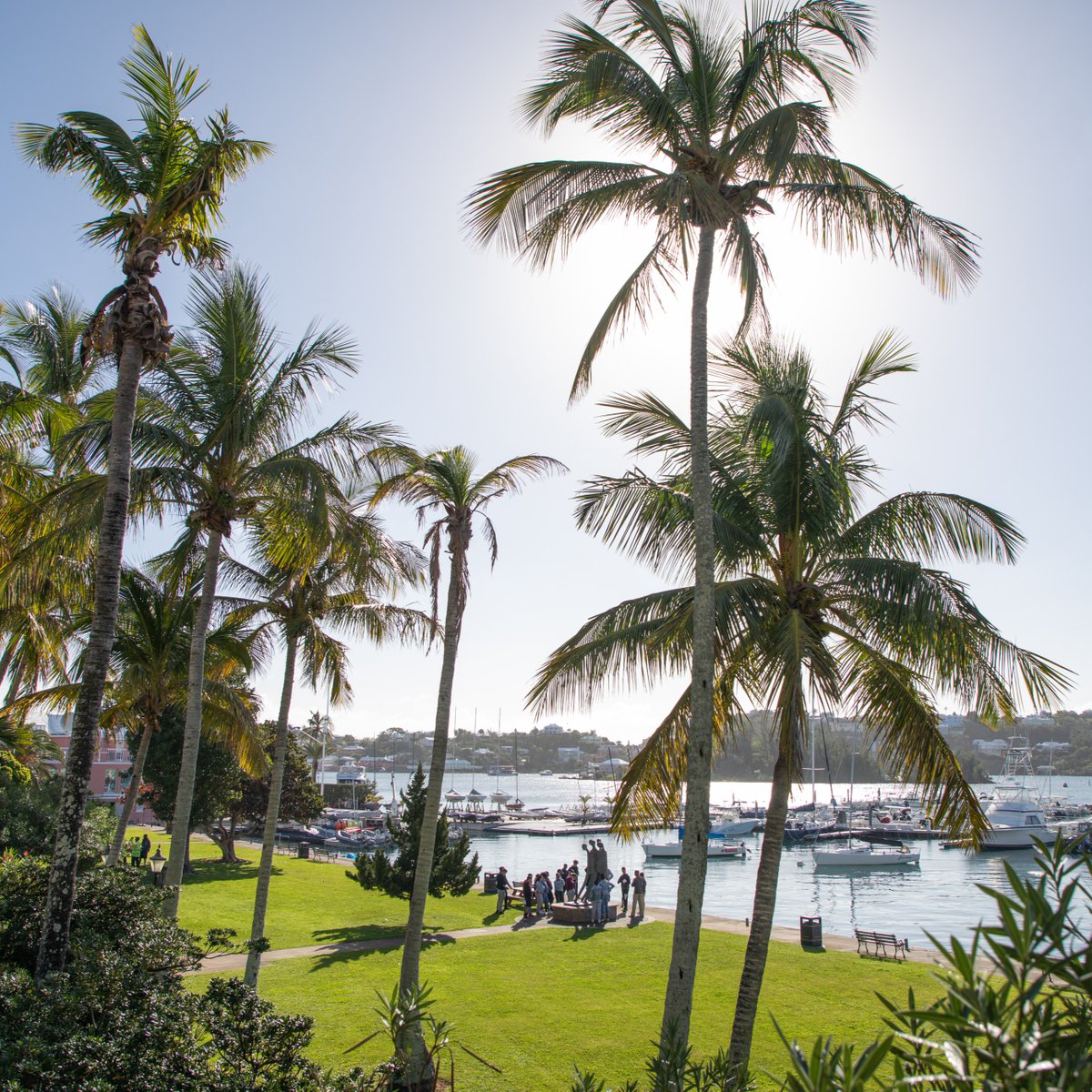 Stay in the know with The BTA Insider, your direct source for all things Bermuda tourism. Get exclusive industry updates, partnership opportunities, and news delivered right to you.

Subscribe now: bit.ly/3Jea8oj

#BTAInsights #BermudaTourism