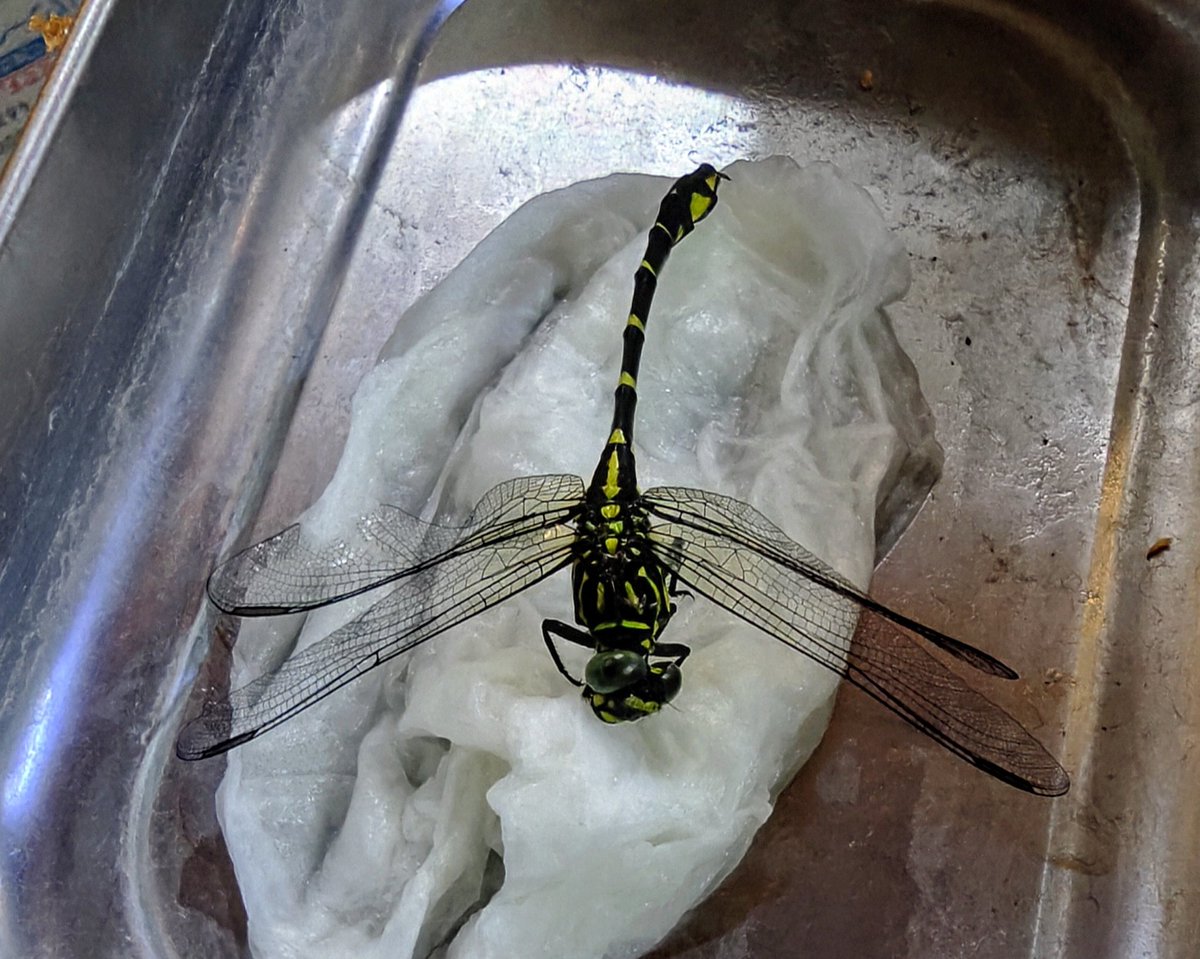 すーさん@story (@mhcmcQT2b8rkgvr) / Posts / X