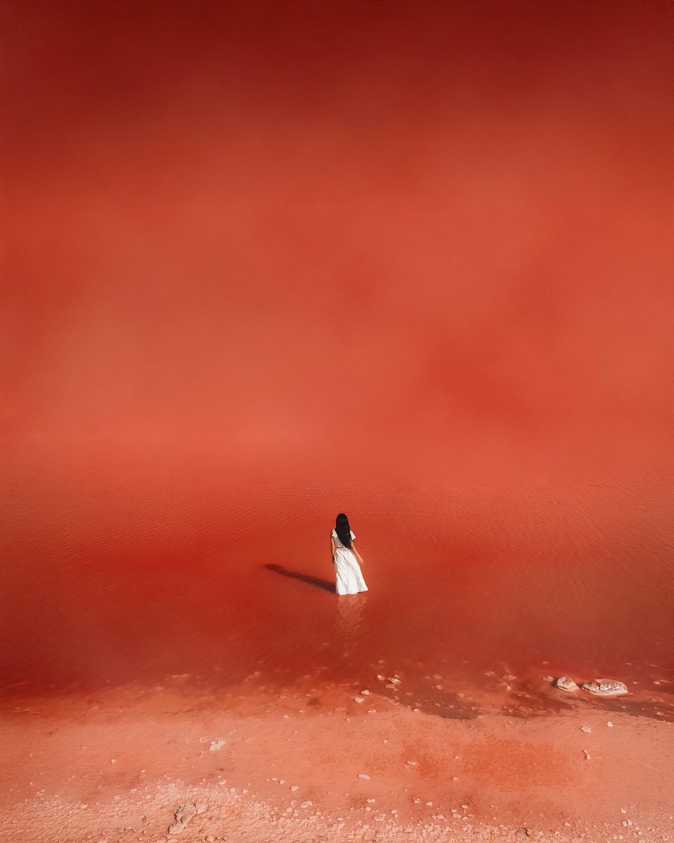 Lola Hubner tweet media