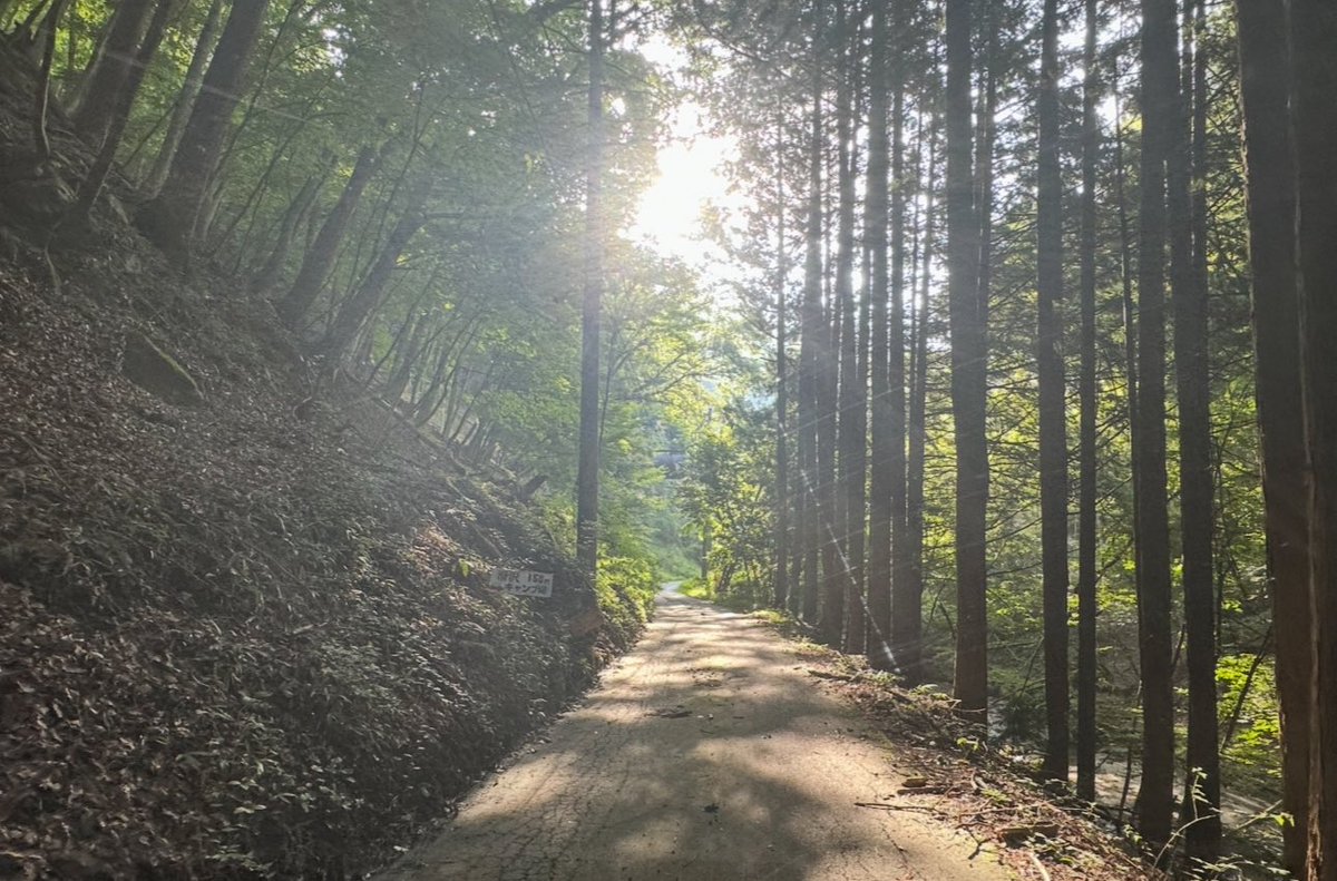 DJANDO6's tweet image. 山梨で次の配信の曲のMIXしてもらって、ぶどう狩りまでさせてもらって、#BIGFLAT  でレコード買えて、温泉に入れて、癒されている😊
#種ありぶどう