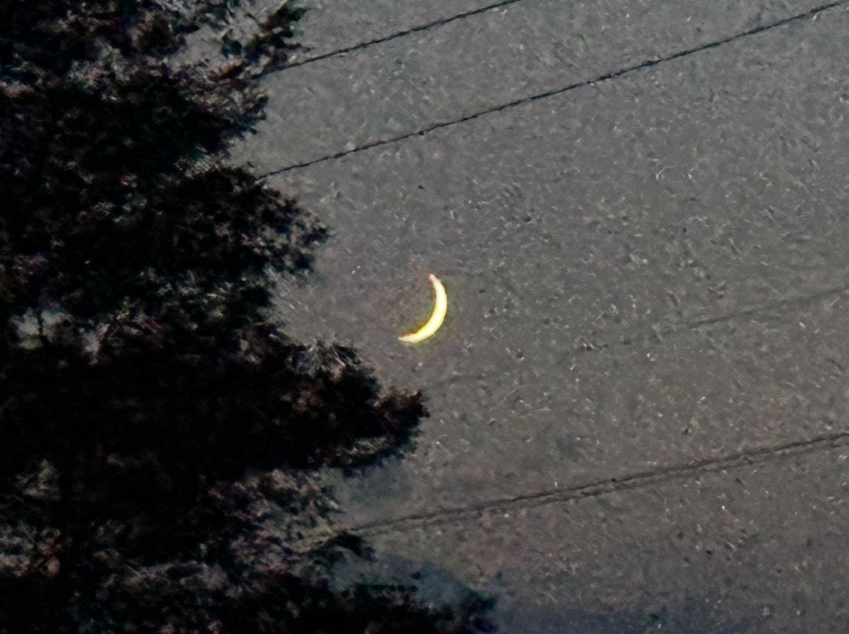 DJANDO6's tweet image. 山梨で次の配信の曲のMIXしてもらって、ぶどう狩りまでさせてもらって、#BIGFLAT  でレコード買えて、温泉に入れて、癒されている😊
#種ありぶどう