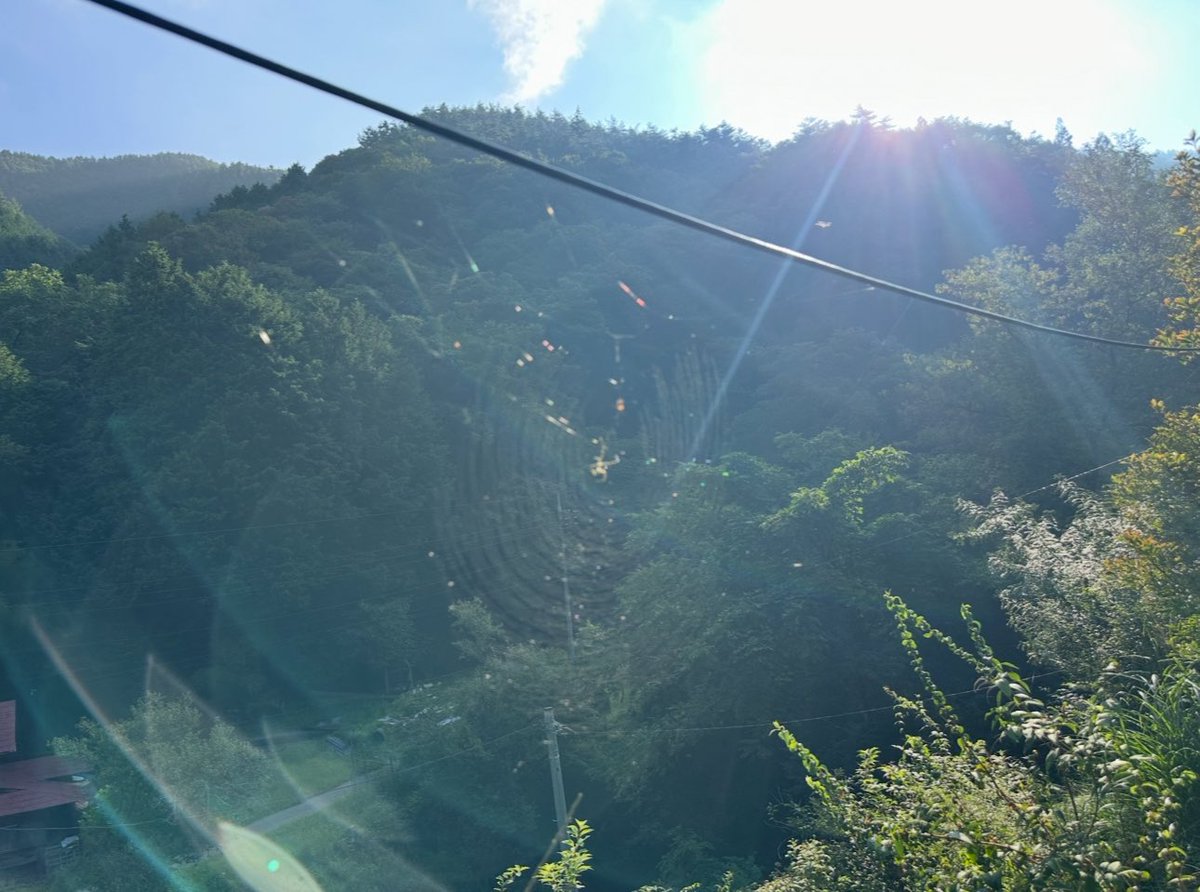 DJANDO6's tweet image. 山梨で次の配信の曲のMIXしてもらって、ぶどう狩りまでさせてもらって、#BIGFLAT  でレコード買えて、温泉に入れて、癒されている😊
#種ありぶどう