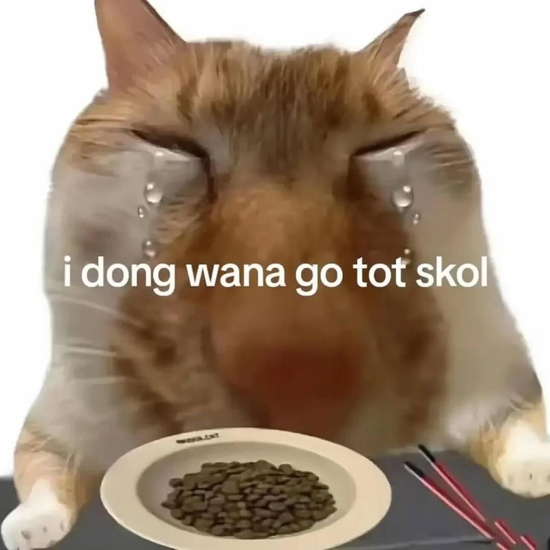 新学期刚开始，我好像已经燃尽了….fall break和感恩节快点到来吧….