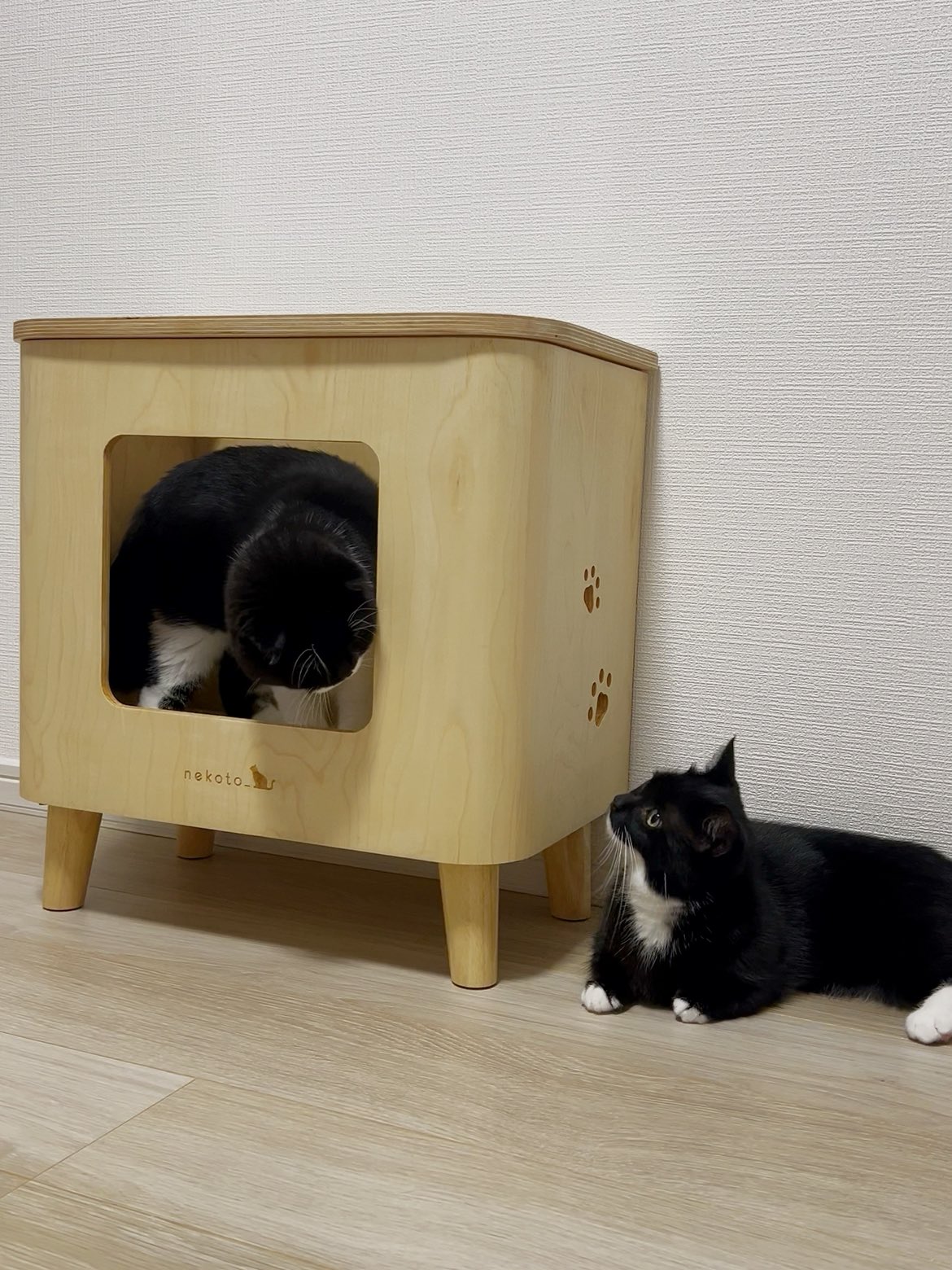 こねこね様！　専用ページ こはぜ (@kohaze102) / X