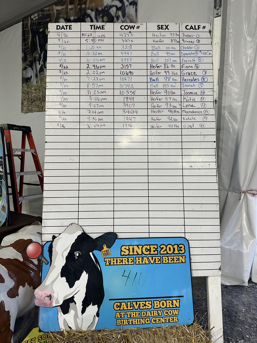Our calf counts so far!