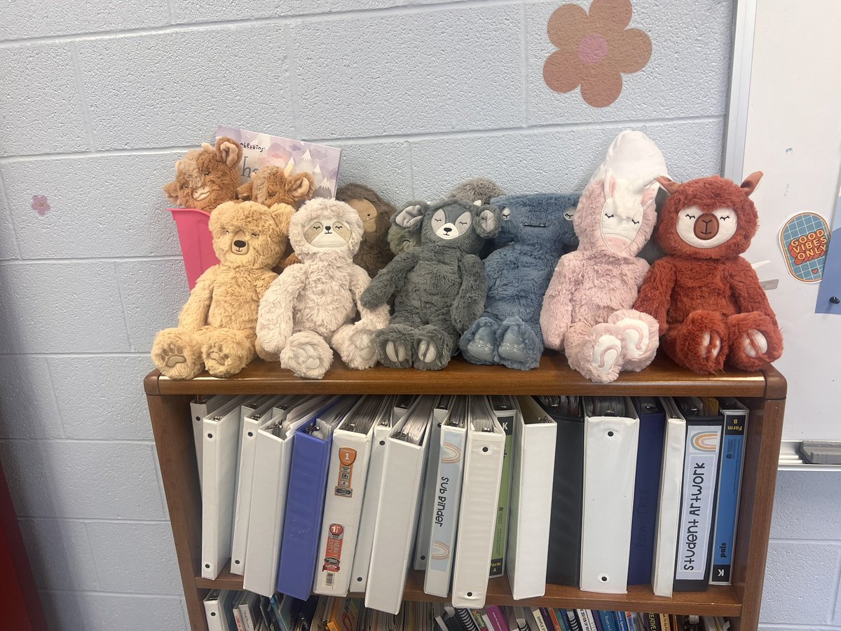 Miss Madison Elsbernd tweet media