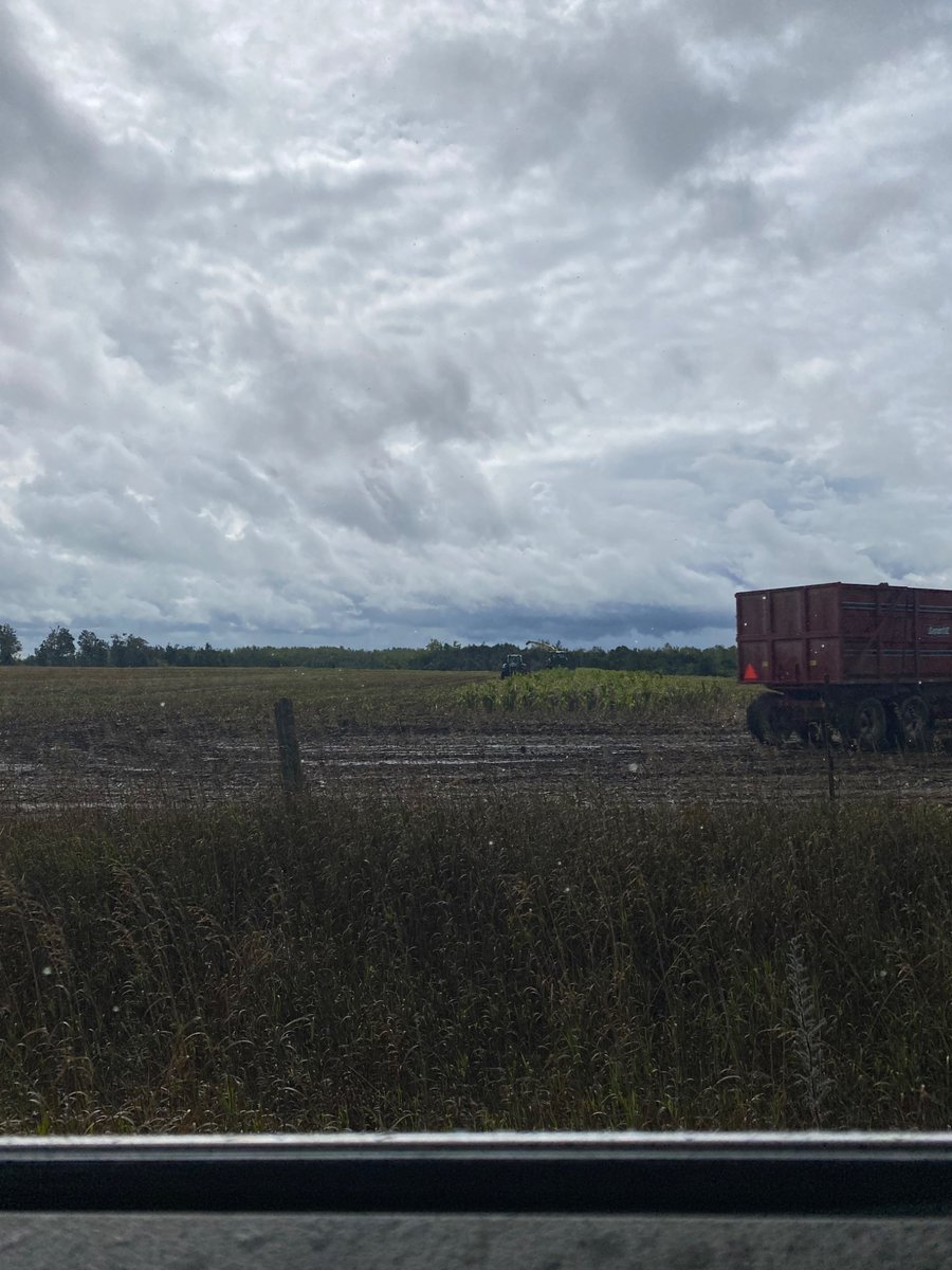 Aaron de Vos tweet media