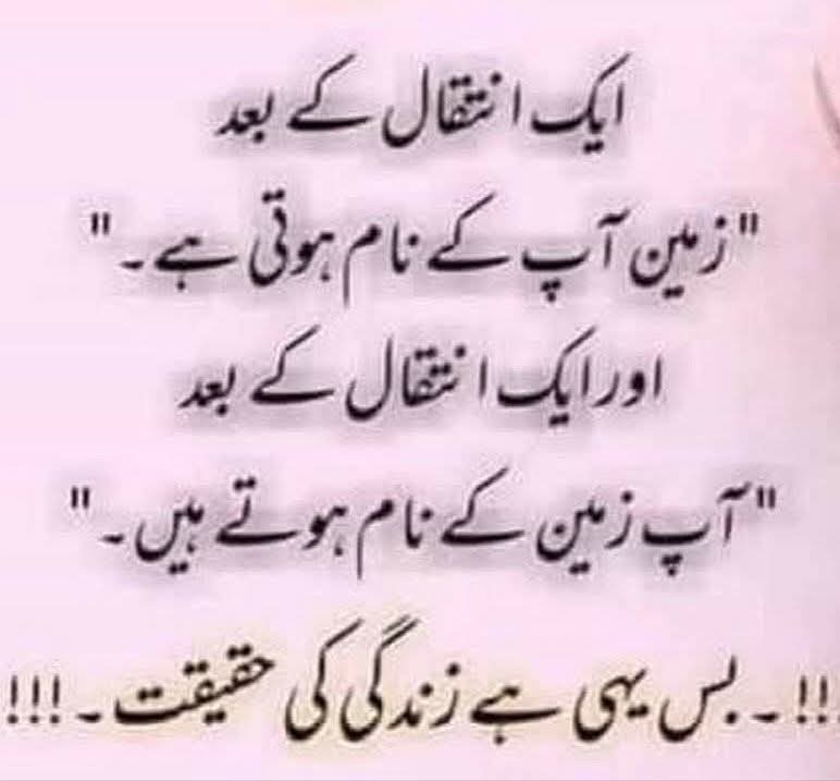 Nusrat Sehar Abbasi (@nsabbasioff) on Twitter photo 