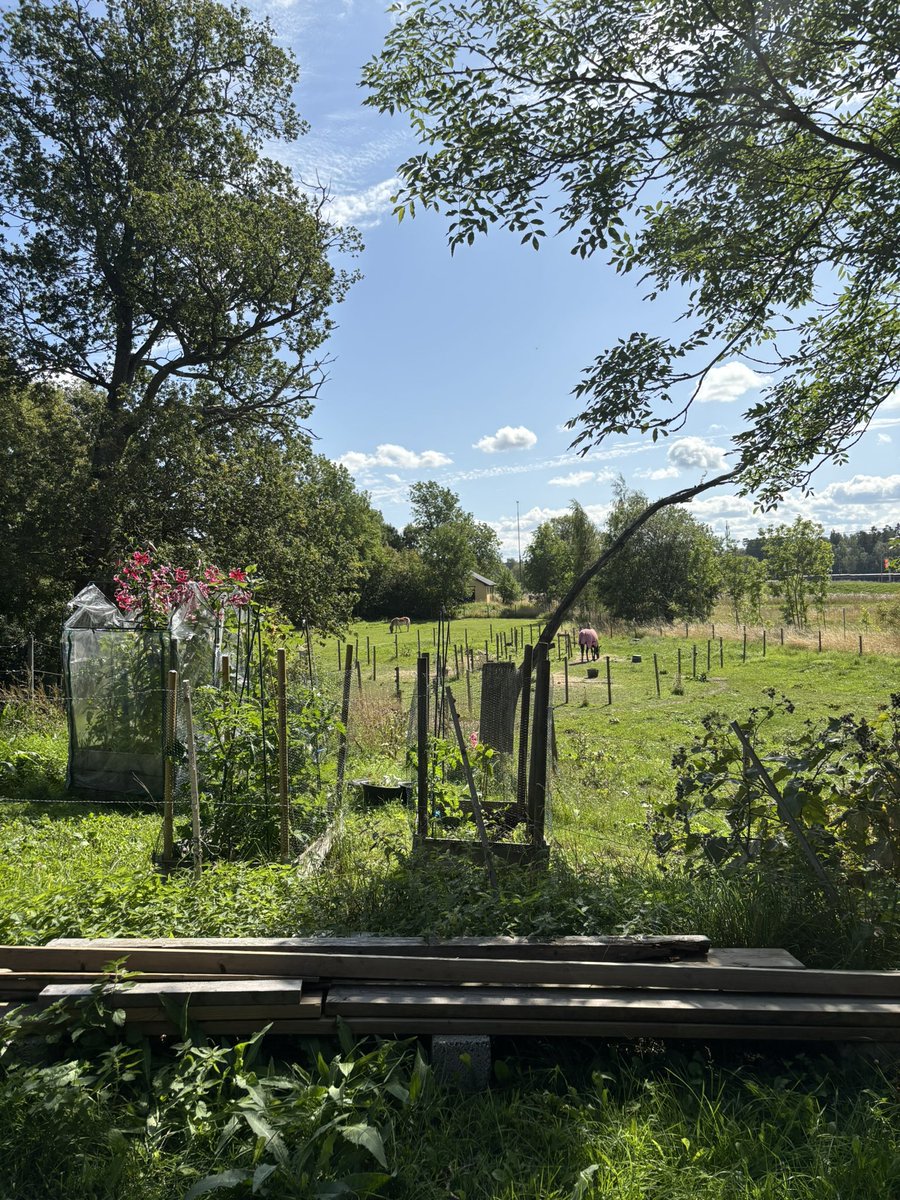 sololWNL's tweet image. 🌞