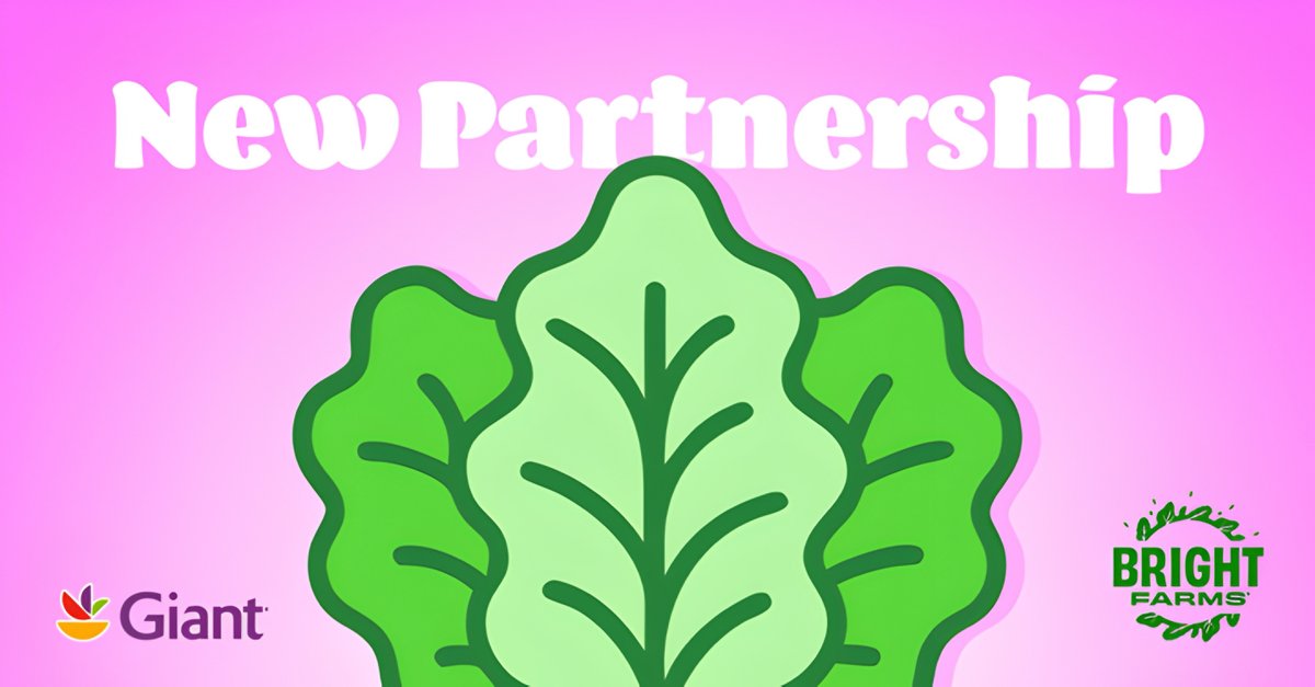 🥬 Giant Food and BrightFarms launch Nature's Promise ready-to-eat greenhouse greens! 🌱 
Visit ANUK with the link in bio for more.