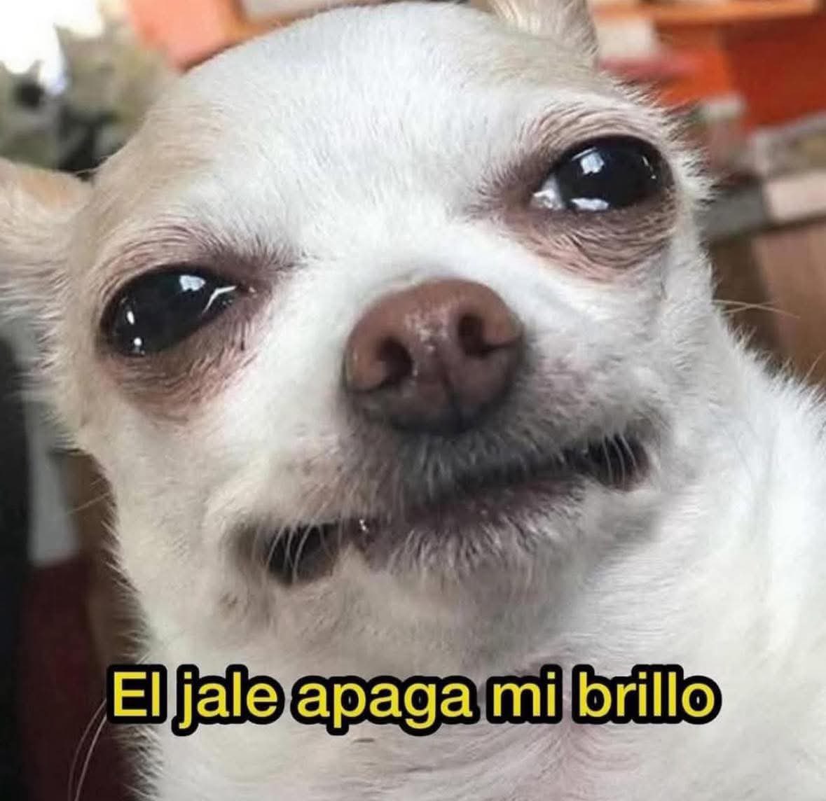 Soma Rose (@somagameplays) on Twitter photo 