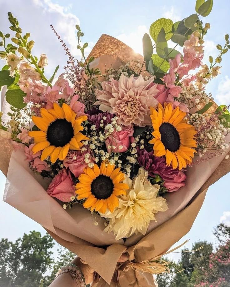 SUNFLOWER 🌻 tweet media