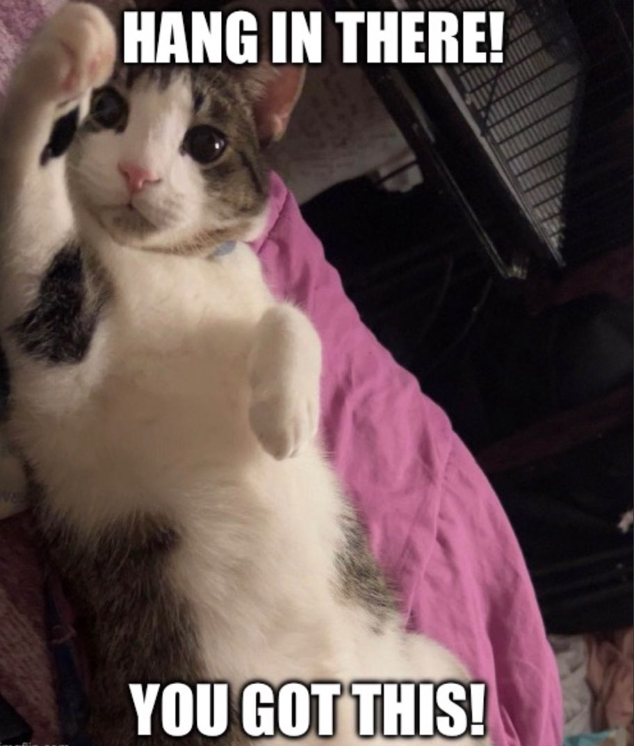 To’xira 𐕣 𐕣 𐕣 🕯️🦌 tweet media