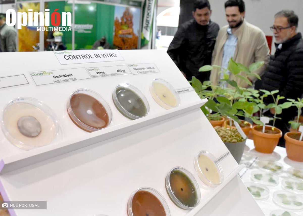 Opinion_Bolivia's tweet image. #SantaCruz | En el segundo día del Congreso Internacional de la #Soya empresas presentaron sus stand de productos, insumos y maquinaria #agrícola para el manejo de plagas, enfermedades, malezas, cosecha, agricultura y biotecnología.
📸 Noé Portugal | Diario OPINIÓN