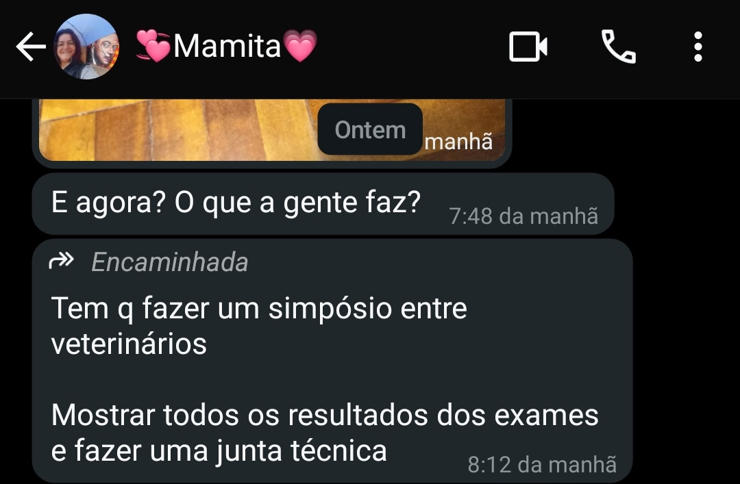 HiOpsAle's tweet photo. Acho tão engraçado que minha mãe sempre me manda mensagem falando "mande um oi pro seu pai" sendo q até quando quer falar alguma coisa pra mim ele manda pra ela e ela me encaminha https://t.co/KnxI9JKPHc