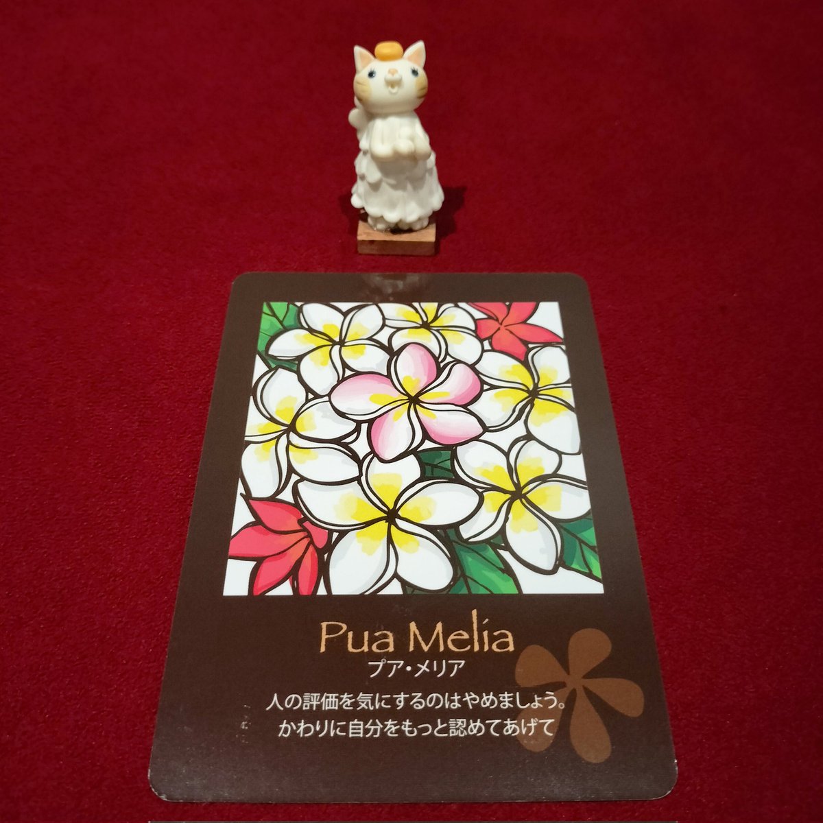 🌹天使猫のオラクル🌹

人の評価を気にして
自分のしたいことを
諦めるのは、自分の
人生を放棄するのと
同じです。
あなたの良さを一番
理解できるのは
あなた自身です。

#Soracle
#スピリチュアル
#心に響いた言葉だけ受け取って