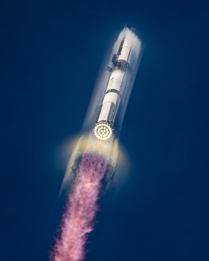 Haley Esparza tweet media