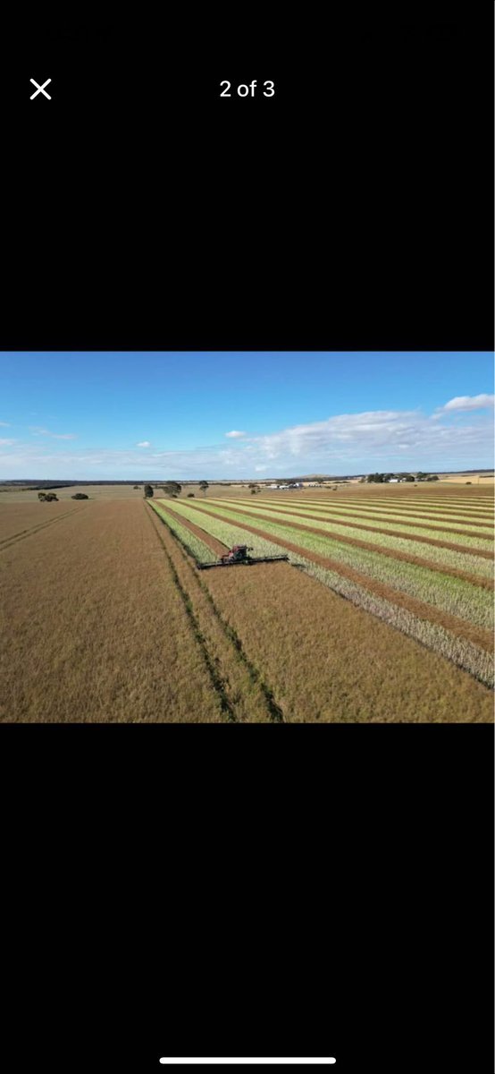 lukegreen450's tweet photo. Contract hay cutting and windrowing. 
40ft windrowing fronts 
16ft mower conditioner fronts
 Willing to travel anywhere on the EP Phone Luke on 0488502972 https://t.co/jY4tdwVw2q