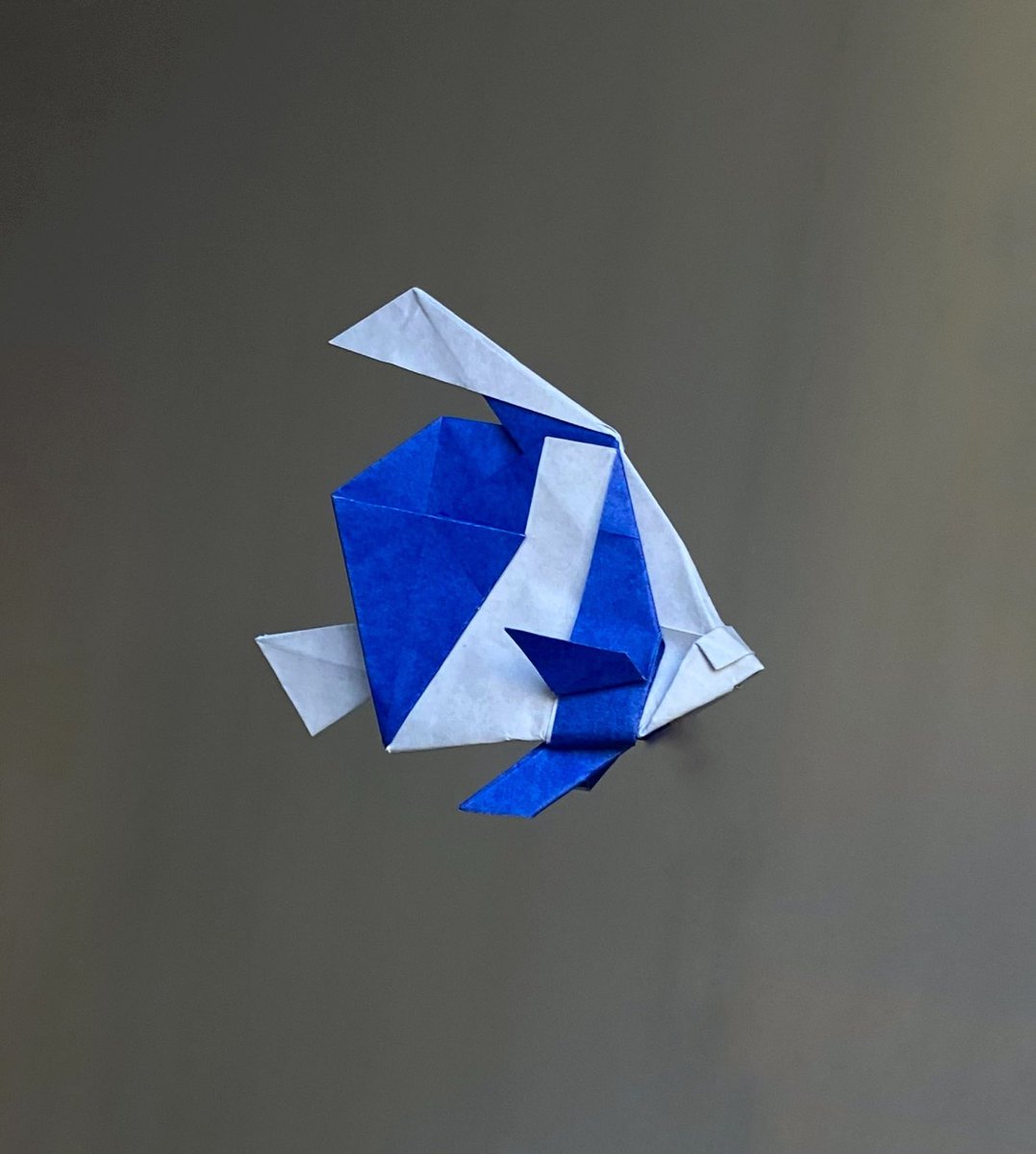 pennant coralfish ハタタテダイ
designed by <a href="/origami_MK/">맹형규</a> 
folded by me