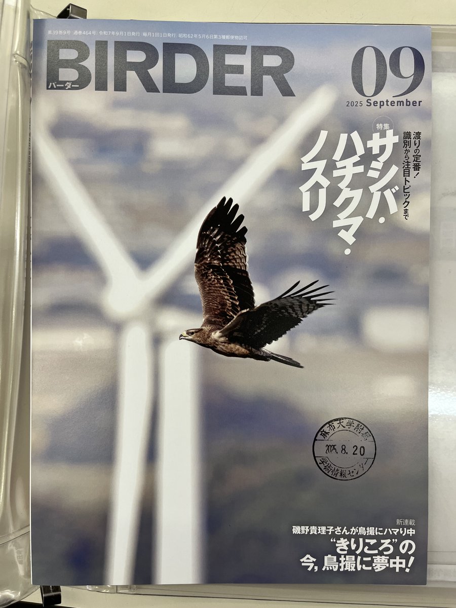 バーダー　文一総合出版　36冊セット ヨドバシ.com - 文一総合出版 通販【全品無料配達】