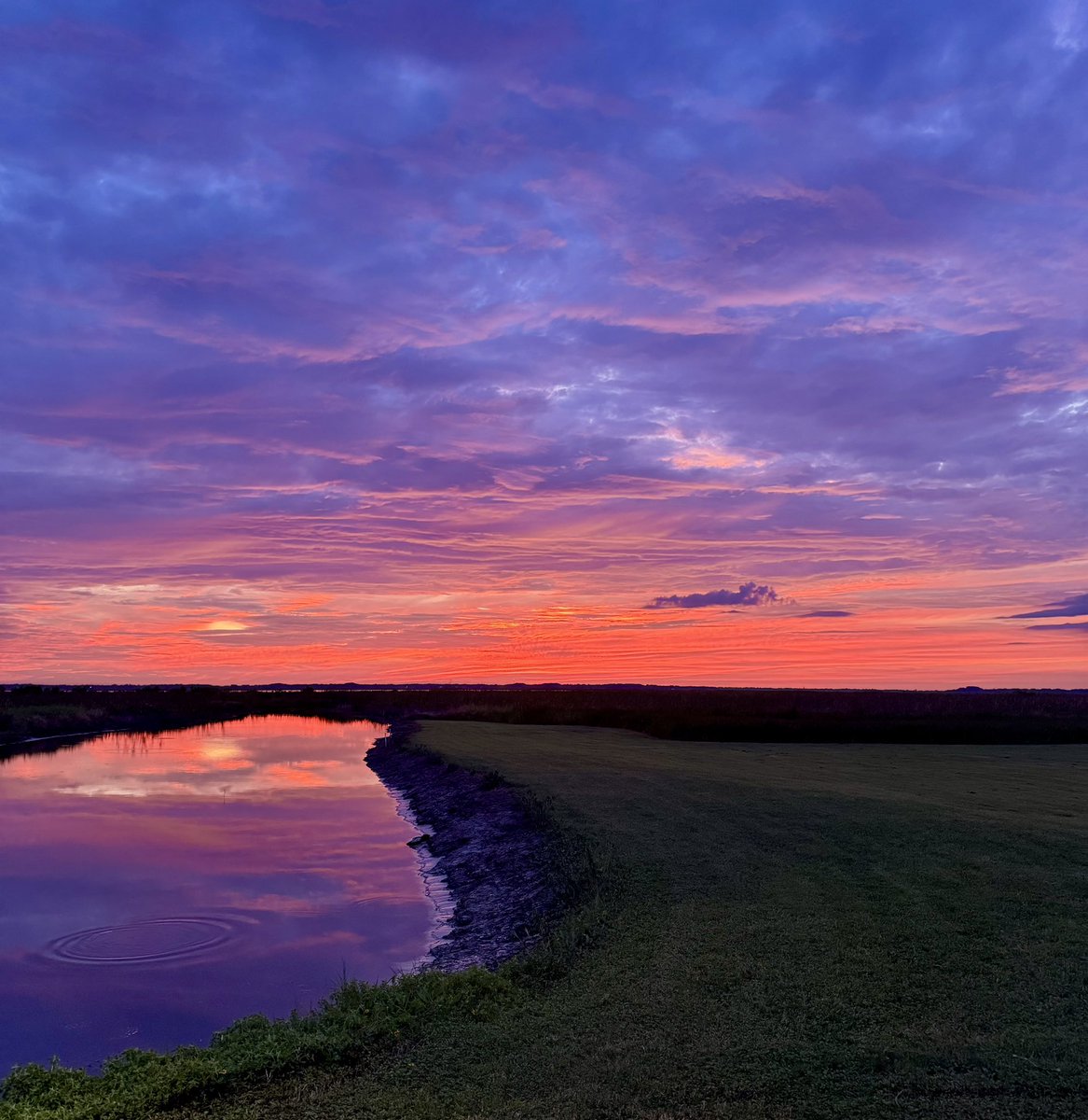 Quite the sunset tonight.  😍