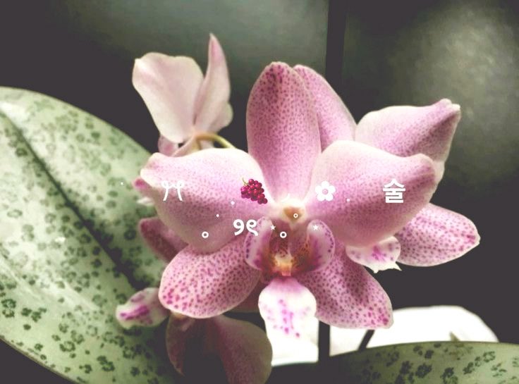 WHO DAT GIRL? ๐๐ฌ๐จ๐ฉ๐ข๐๐จ๐. โ
tweet media