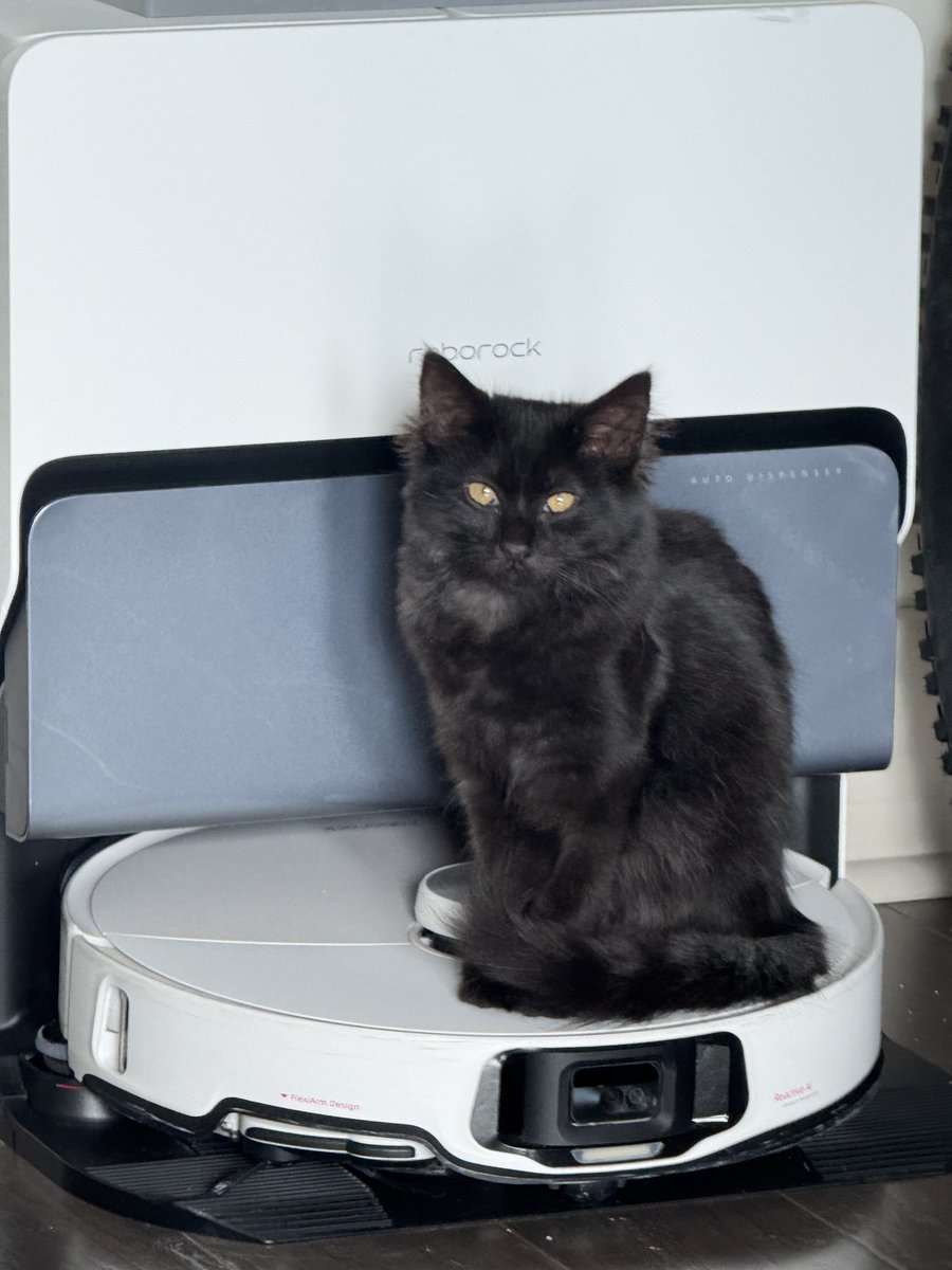 Razuatix tweet media