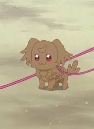 犬飼こむぎ＠わんだふる (@comugi0513) / Posts / X