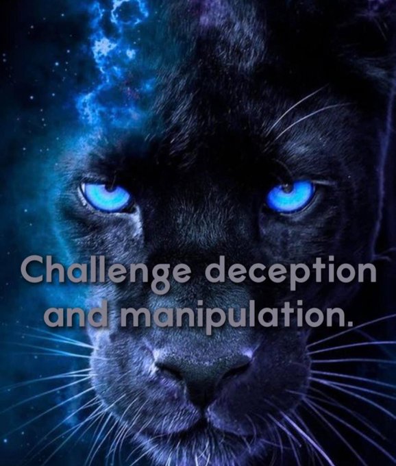 LRedkite's tweet image. 