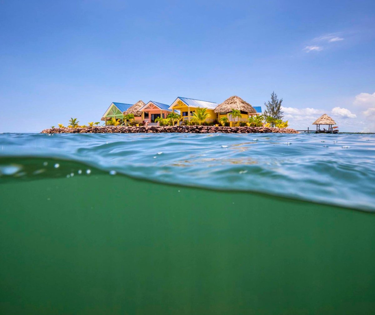 Gecko Vacation Rentals tweet media