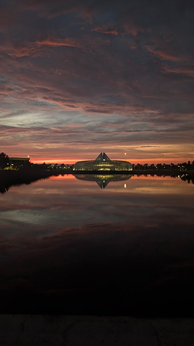 STLRS🇺🇸 tweet media