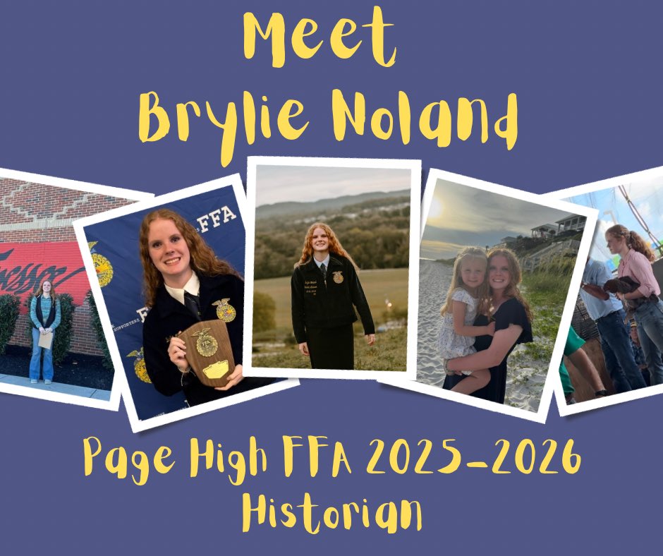 Page High FFA tweet media