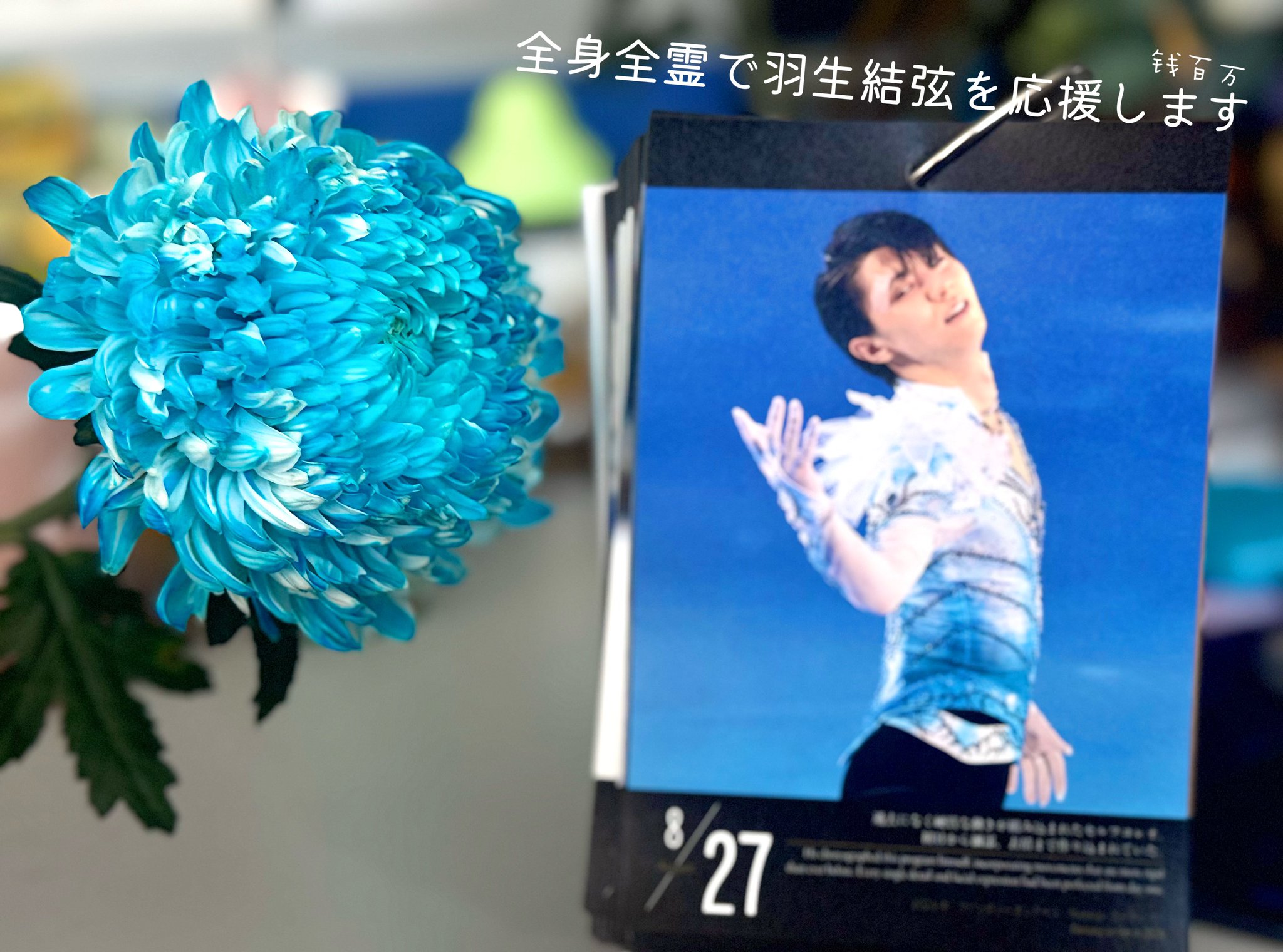 ✨钱百万໒꒱(YUZURU's Energy⚡️ 𓈒𓏸.* )🪽✨💫✨ on X